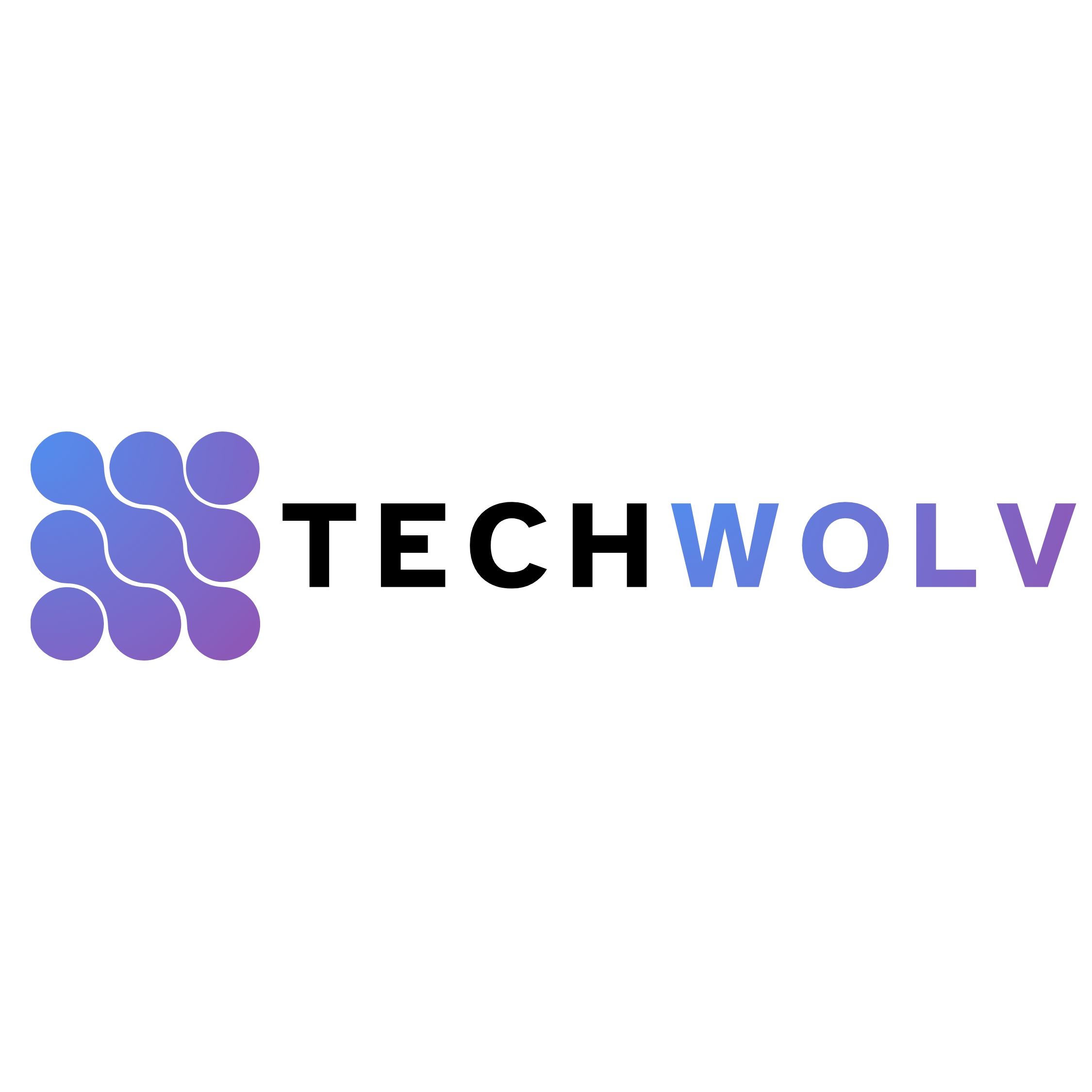 Techwolv | A Software House